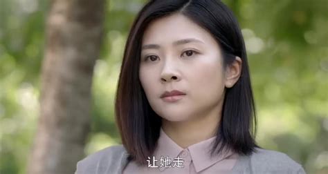 女主人|《女主人》电视剧